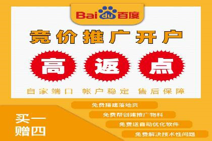 SEM专员实战案例解析
