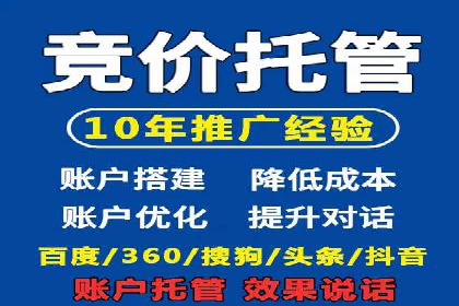 SEM竞价广告的智能优化：成功案例解读